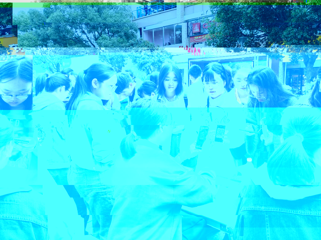 1543304004288355.jpg